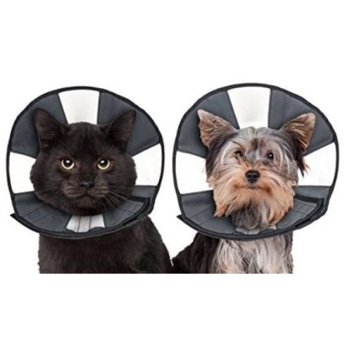 ZenPet Zen Cone Soft Recovery Collar