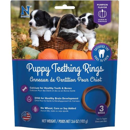 N Bone Puppy Teething Ring  Pumpkin Flavor  Puppy Teething Ring